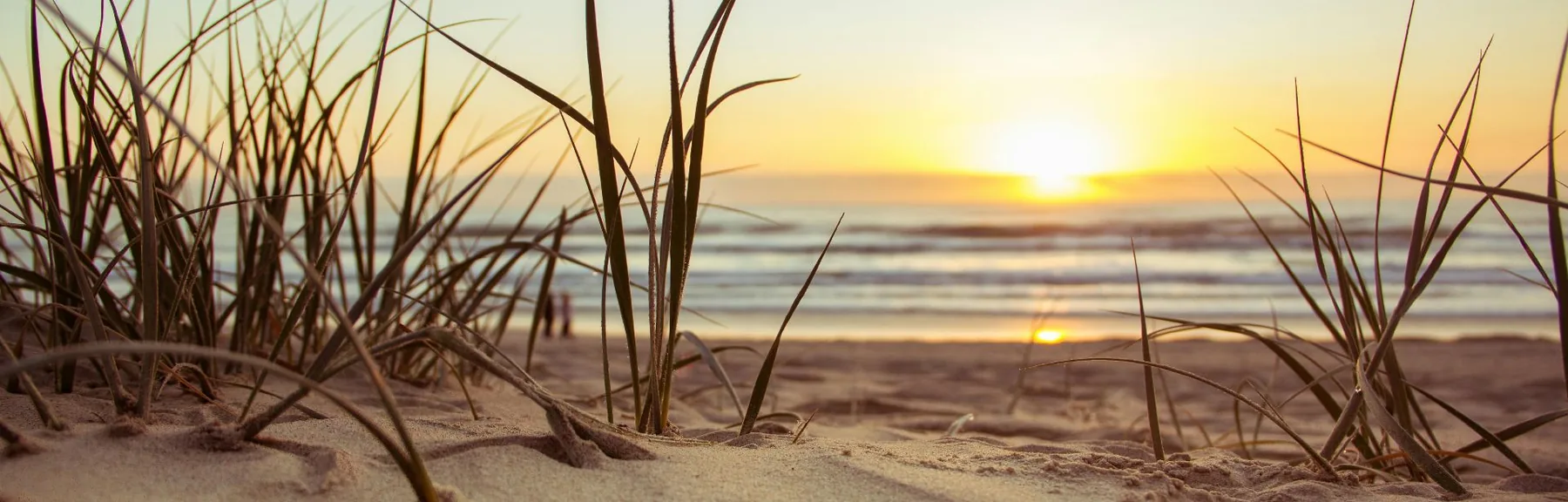 South Carolina coastline at sunrise, representing online therapy across South Carolina