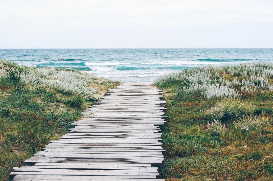 Boardwalk path through dunes, representing burnout recovery therapy in Charlotte, NC